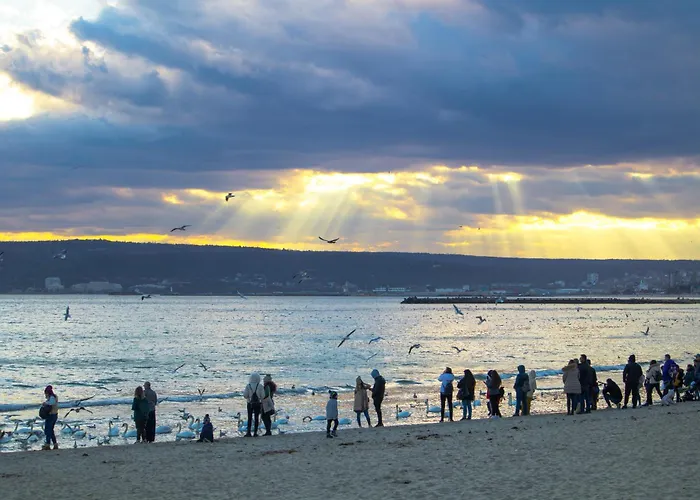 Apartment Location 3 Bedroom Next To The Varna